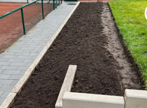 Naturnaher Insektengarten