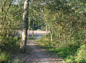Wandern und Ruhen
