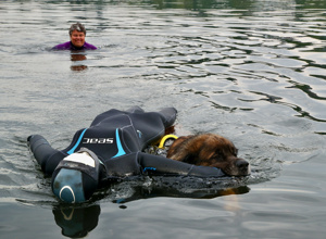 Ein Schlauchboot für den Hundesport