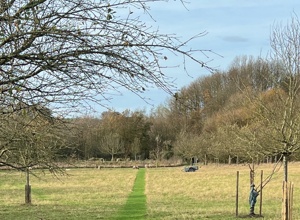 Straße der Demokratie im Karlsgarten Aachen