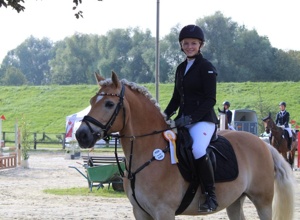 Für ein neues Schulpferd – Helfen Sie dem Reitverein Dorsten