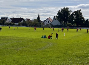 Mähroboter für die TSG Stadtbergen Fußballabteilung