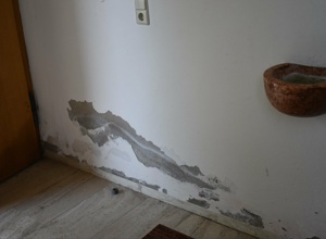 Sanierung des Vorzeichens der Kirche Mariä Himmelf