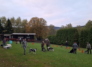 Doppelstabmattenzaun Hundefreunde