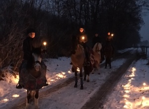 Weg- und Platzbeleuchtung für unsere Reitanlage