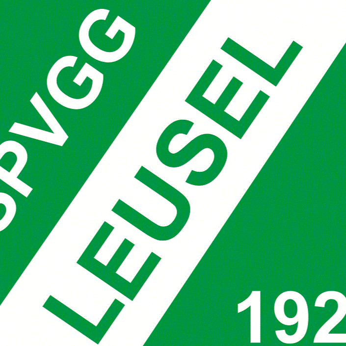 Erneuerung der Ballfangnetzanlage Spvgg Leusel