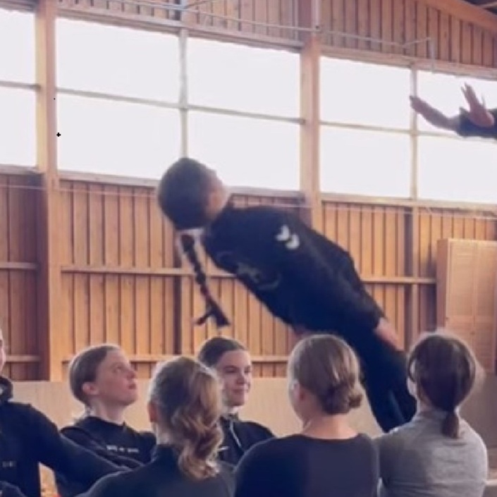 Starker Boden für starke Leistung-Helft bei unserem neuen Hallenboden!