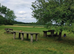 Instandhaltung Bogenwiese und Equipment, Vereinskleidung Kinder,