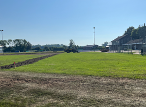 Umwandlung in Kunstrasenplätze