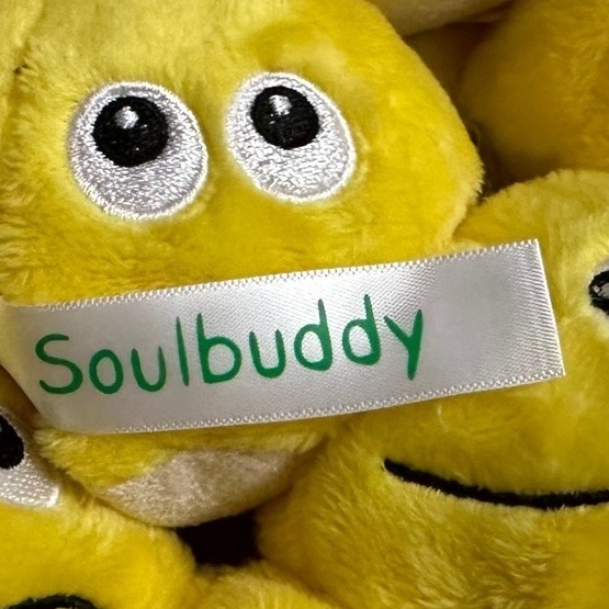 SoulStory Schreibwettbewerb und Wimmelbilderbuch