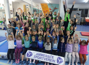 Vereinsfahne des Ammersee-Sportvereins