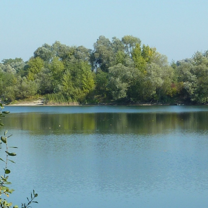 Fischbesatzmaßnahmen