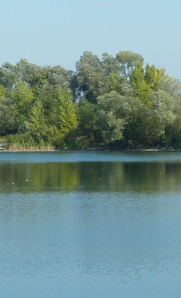 Fischbesatzmaßnahmen