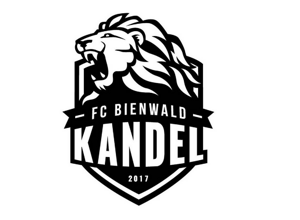 Innovative AIRPITCH-FUSSBALL-ARENA für Kinder und Jugendliche