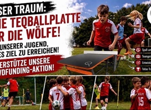 Teqballplatte für die Friedrichshagener Wölfe