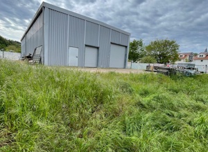 Unsere Kakadu-Halle soll schöner und grüner werden !