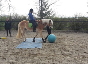 Breitensport-Trainingsparcours für die Reiterkids