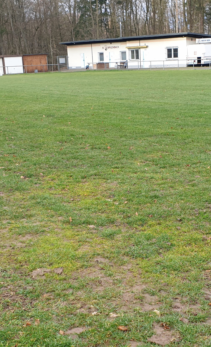Sanierung Sportanlage
