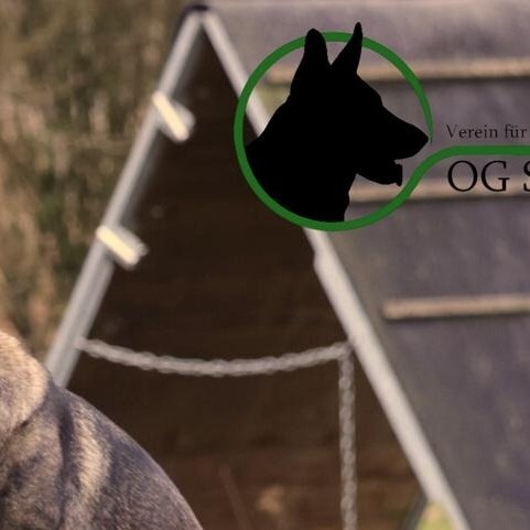 Licht an für unsere Hundeausbildung!