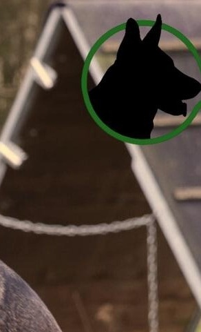 Licht an für unsere Hundeausbildung!