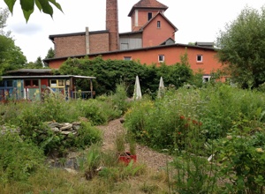 Erlebnis-Teich Naturoase mit Libelle & Frosch 
