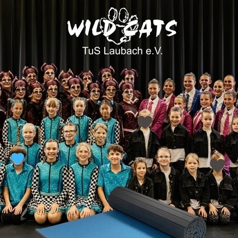 Neue Trainingsmatten für die Wild Cats