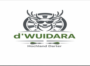 Neuaufbau einer Dartanlage