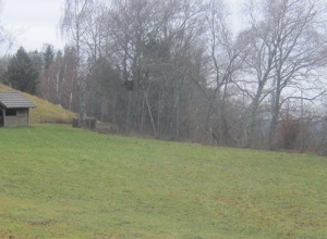 Sanierung und Pflege vom Sportplatz in Gresgen