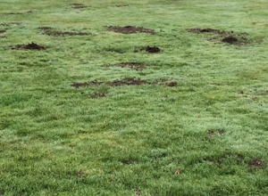 Erhaltung Sportplatz Oedelum