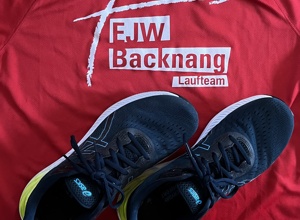 Finanzierung der 3. JugendreferentInnenstelle des EJW Backnang