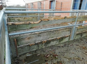 Erneuerung der Paddocks für Voltigierpferde