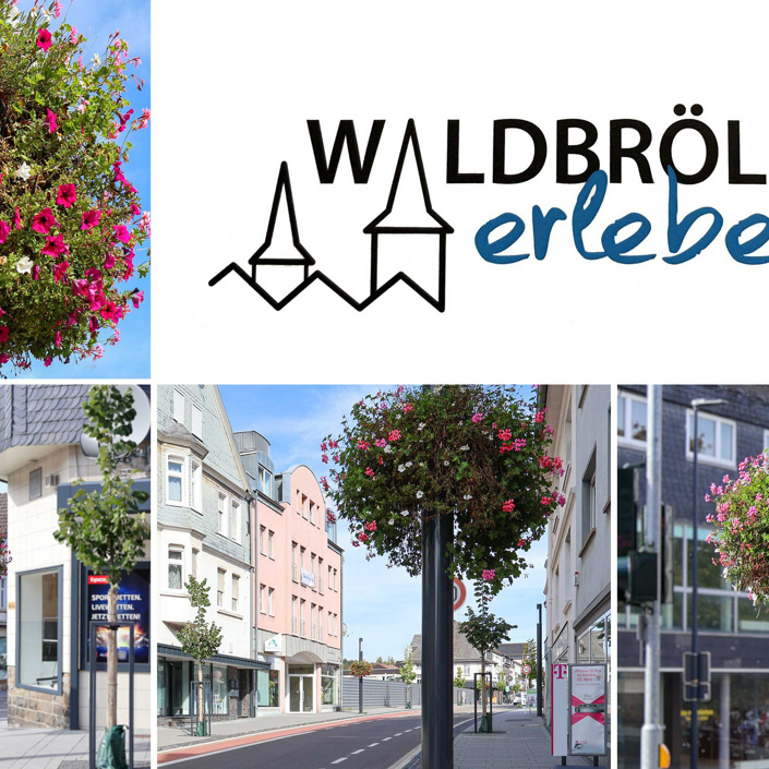 5 Jahre Blumenampeln