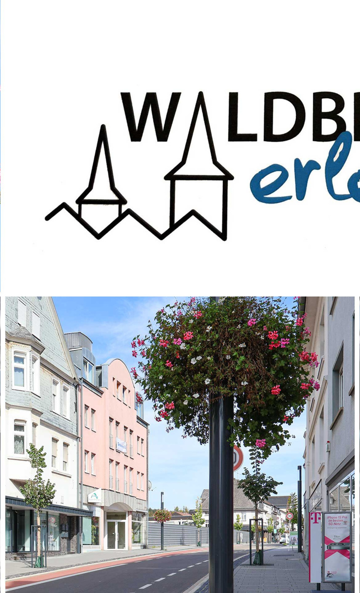 5 Jahre Blumenampeln