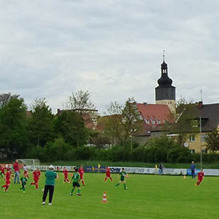 Gepflegter Rasen & neue Tore