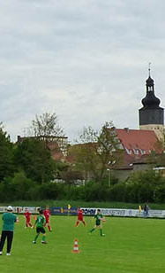 Gepflegter Rasen & neue Tore