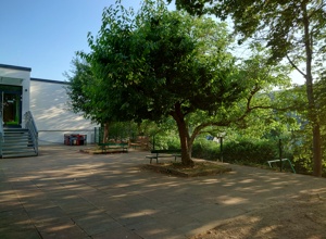 Kids in Bewegung