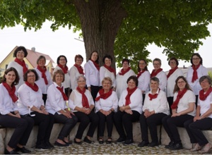 Anschaffung eines E-Pianos mit Zubehör