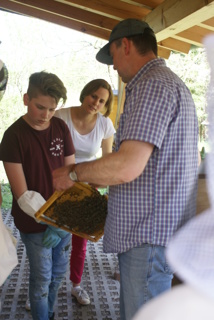 Teilnahme an einer Führung am Lehrbienenstand