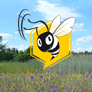 Biene als Umweltspäher