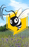 Biene als Umweltspäher
