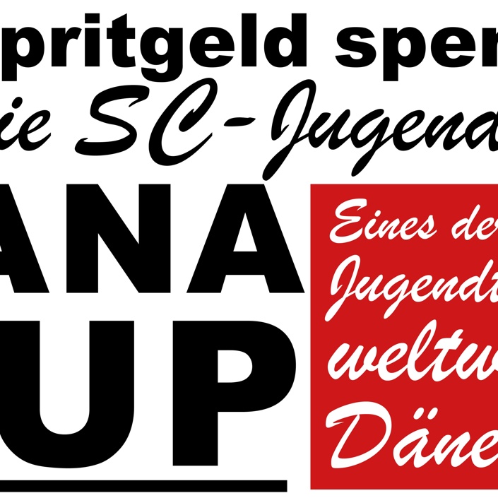 SCHpritgeld-4-DANACUP