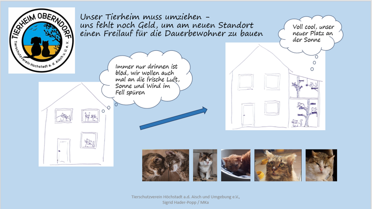 Platz an der Sonne für die Gnadenhofkatzen in unserem neuen Tierheim