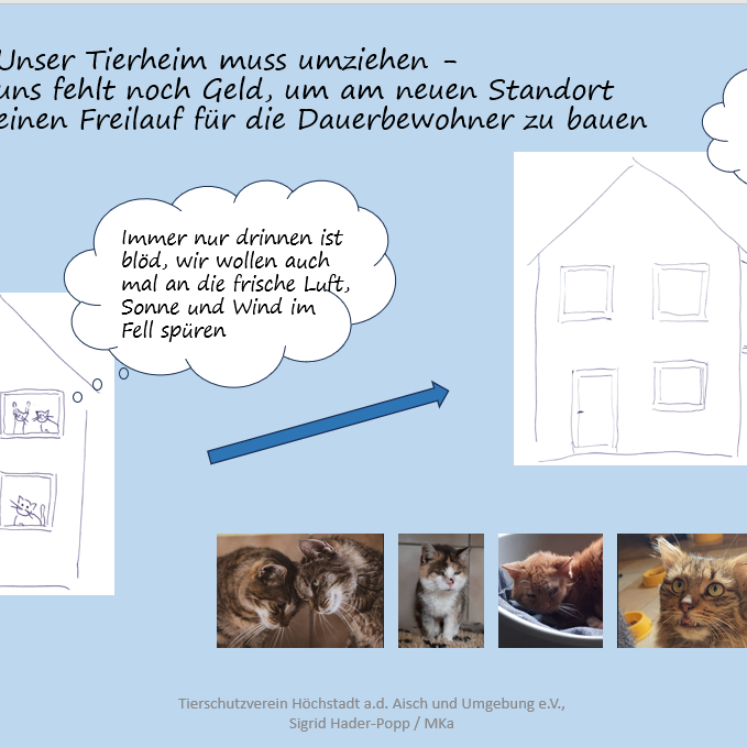 Platz an der Sonne für die Gnadenhofkatzen in unserem neuen Tierheim