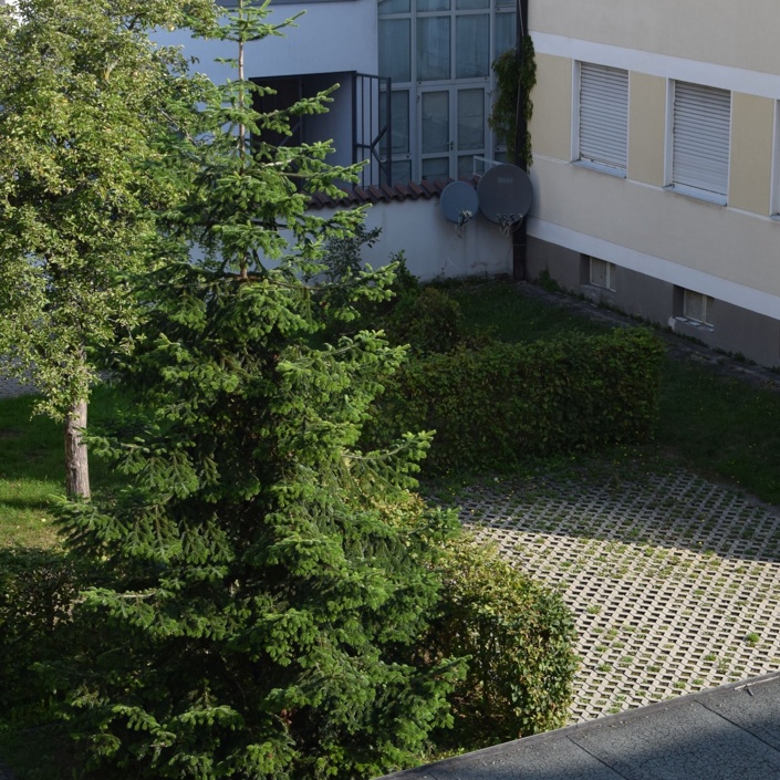 Umgestaltung des Pfarrgartens St. Josef Weiden