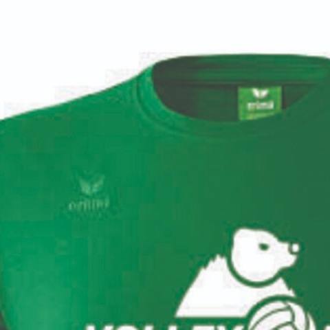 60 T-Shirts  für die Volleyballjugend