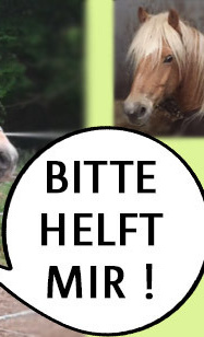 Schulpferd Wastl braucht Hilfe !