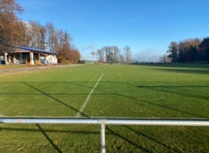 Rasenmäher SV Frisch-Auf Dielbach e.V.