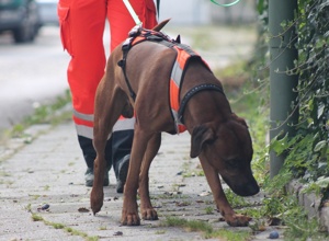 Einsatzkleidung für die BRH Rettungshundestaffel Oberland e.V.