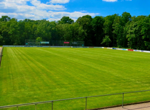 Corona-Hilfe für den SV Ulm 1948 e.V.