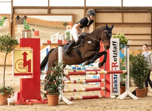 Neuanschaffung Dressurviereck und Trainingsparcours